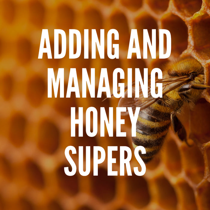 ADDING AND MANAGING HONEY SUPERS