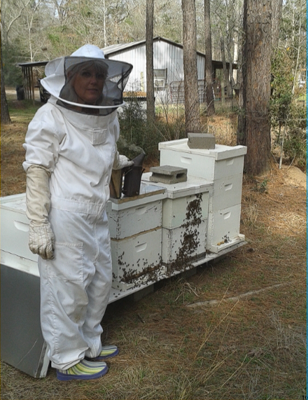 Preparing for Your First Hive