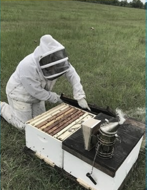 Mastering Hive Inspections - Part 2