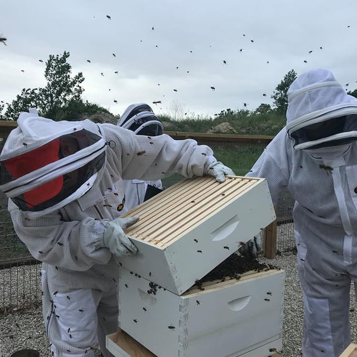 When is it too Cold to Check My Hive?