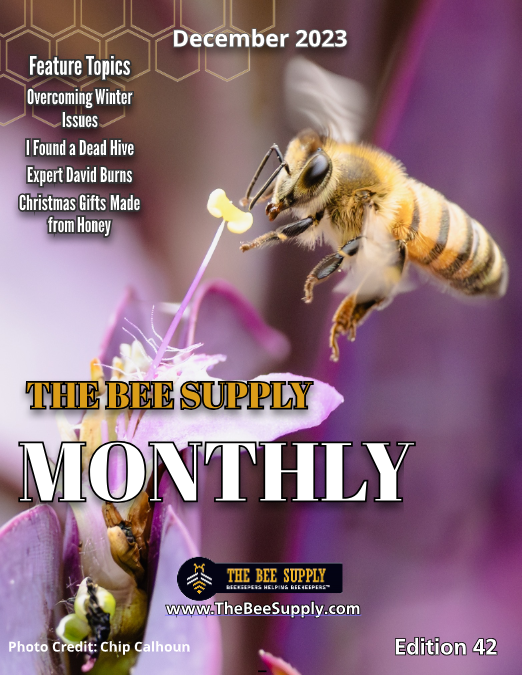 The Bee Supply Monthly - December 2023
