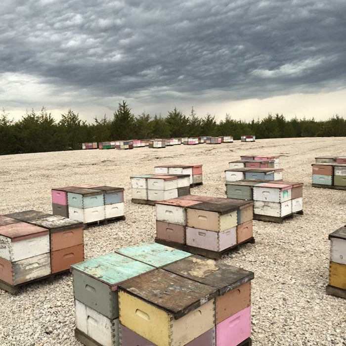 How Close Together Can I Place Hives?
