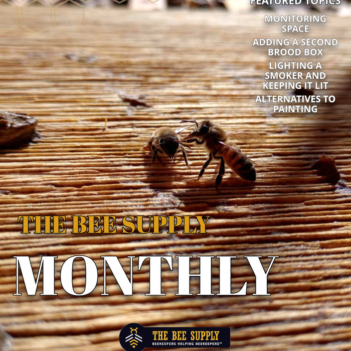 The Bee Supply Monthly - February 2024