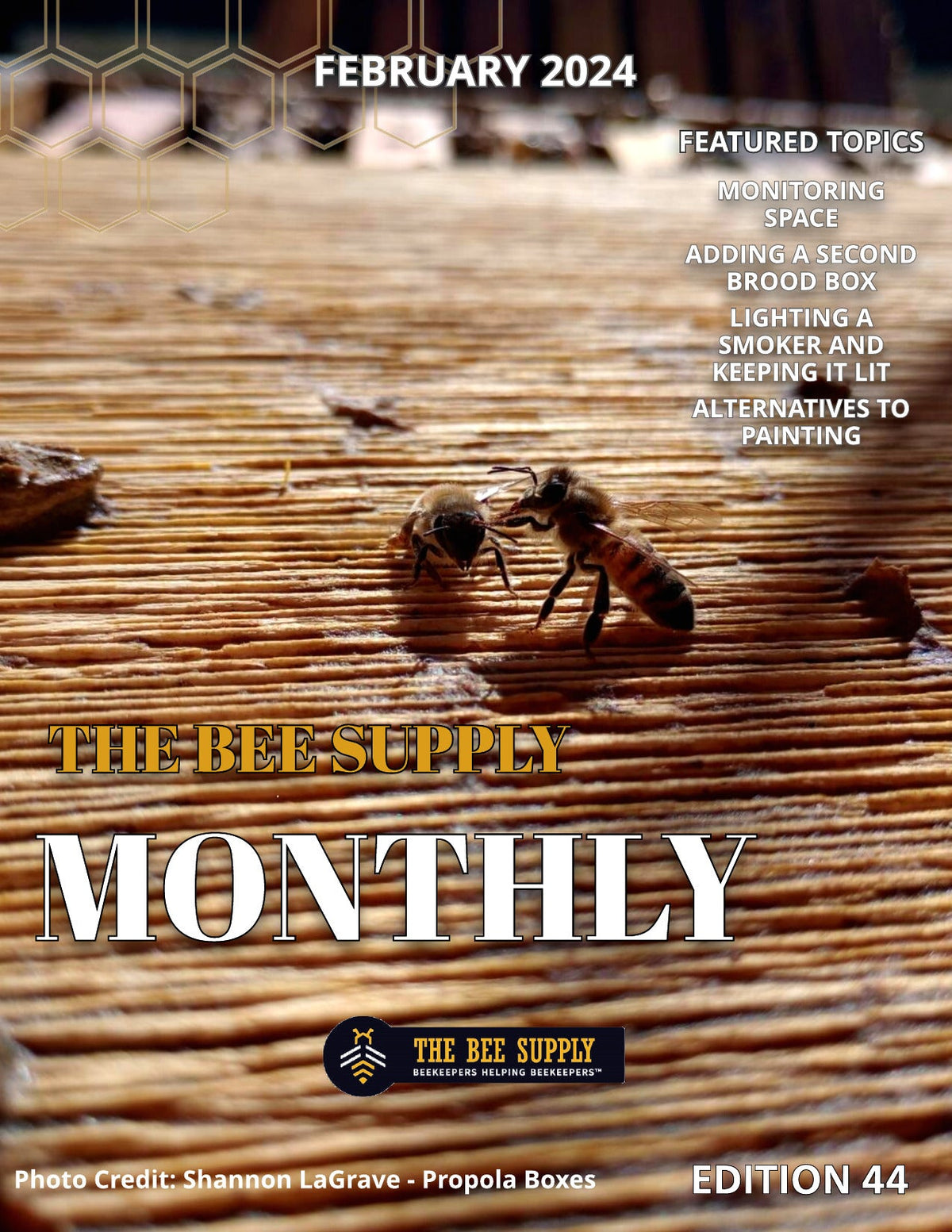 The Bee Supply Monthly - February 2024