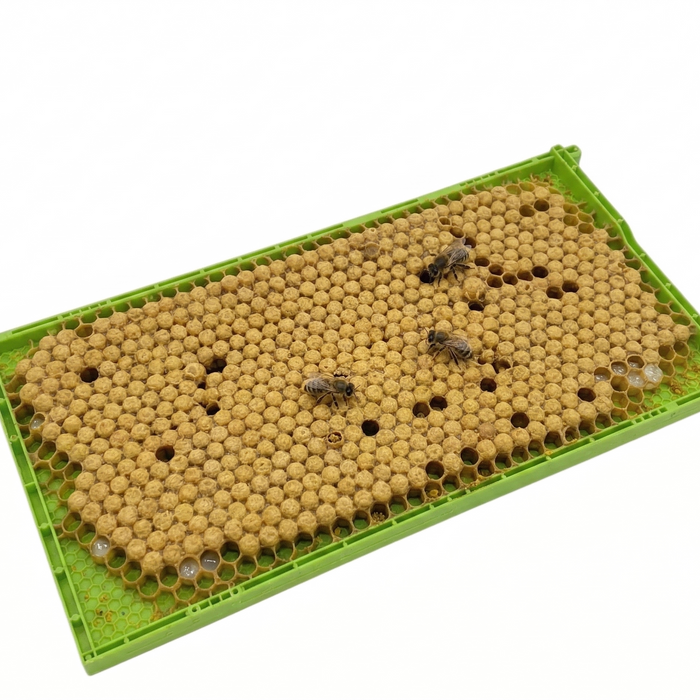 How to Use Green Drone Frames for Varroa Management (and What to Do When That’s Not Enough)