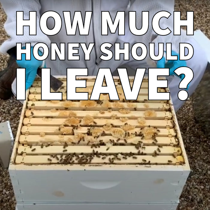How Much Honey Should I Leave for My Bees After the Flow Stops?