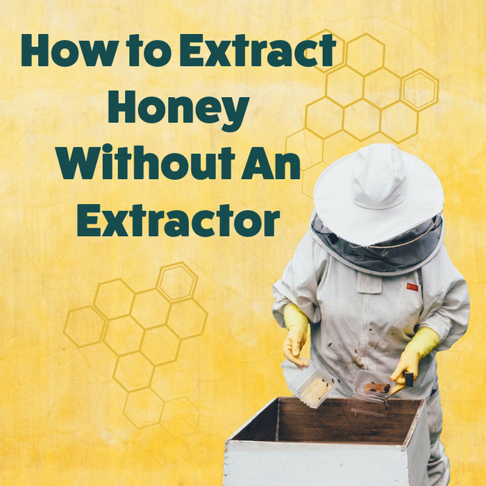 How to Extract Honey Without An Extractor