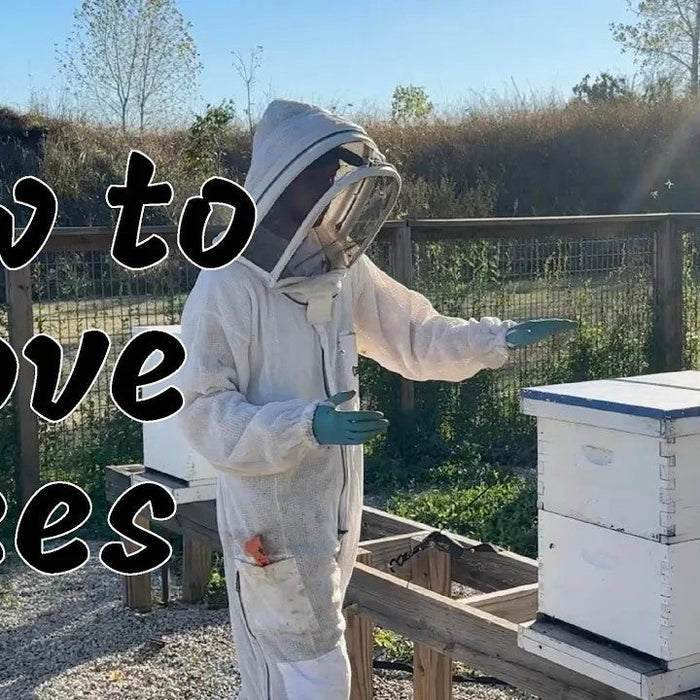How to Move Bees Video