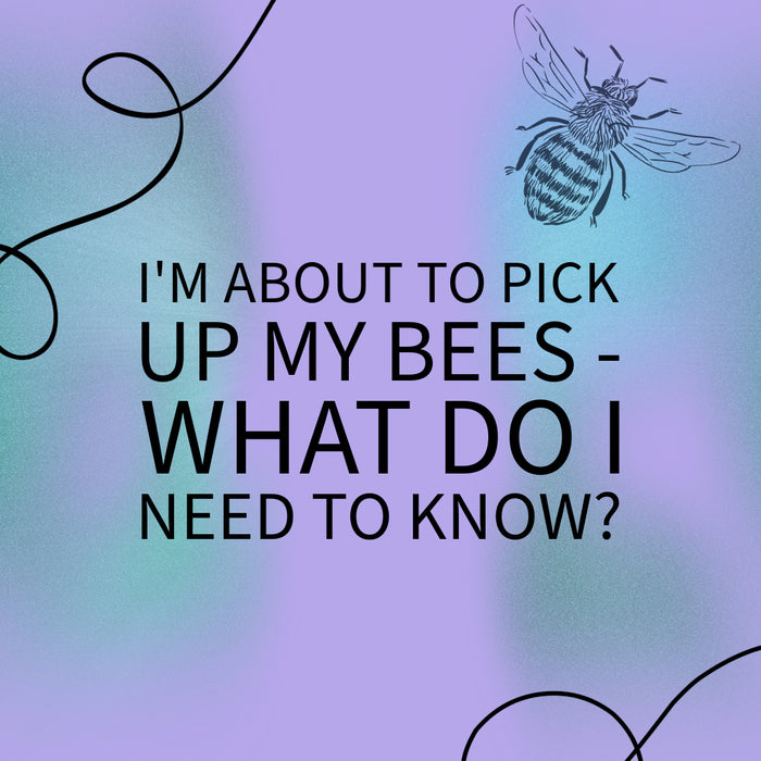 I'm About to Pick Up My Bees - What Do I Need to Know?