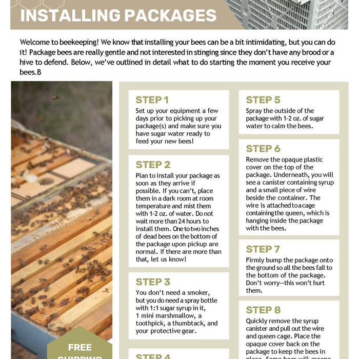 How to Install a Package of Bees