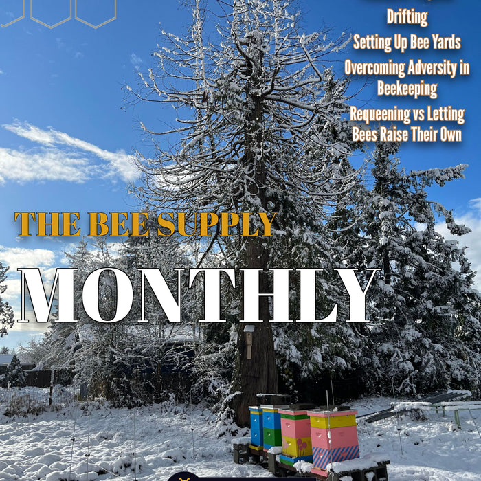 The Bee Supply Monthly - January 2023