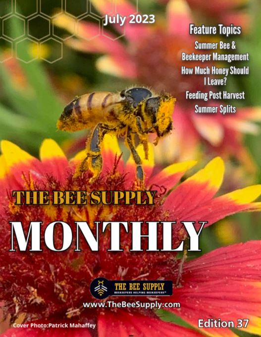 The Bee Supply Monthly - July 2023