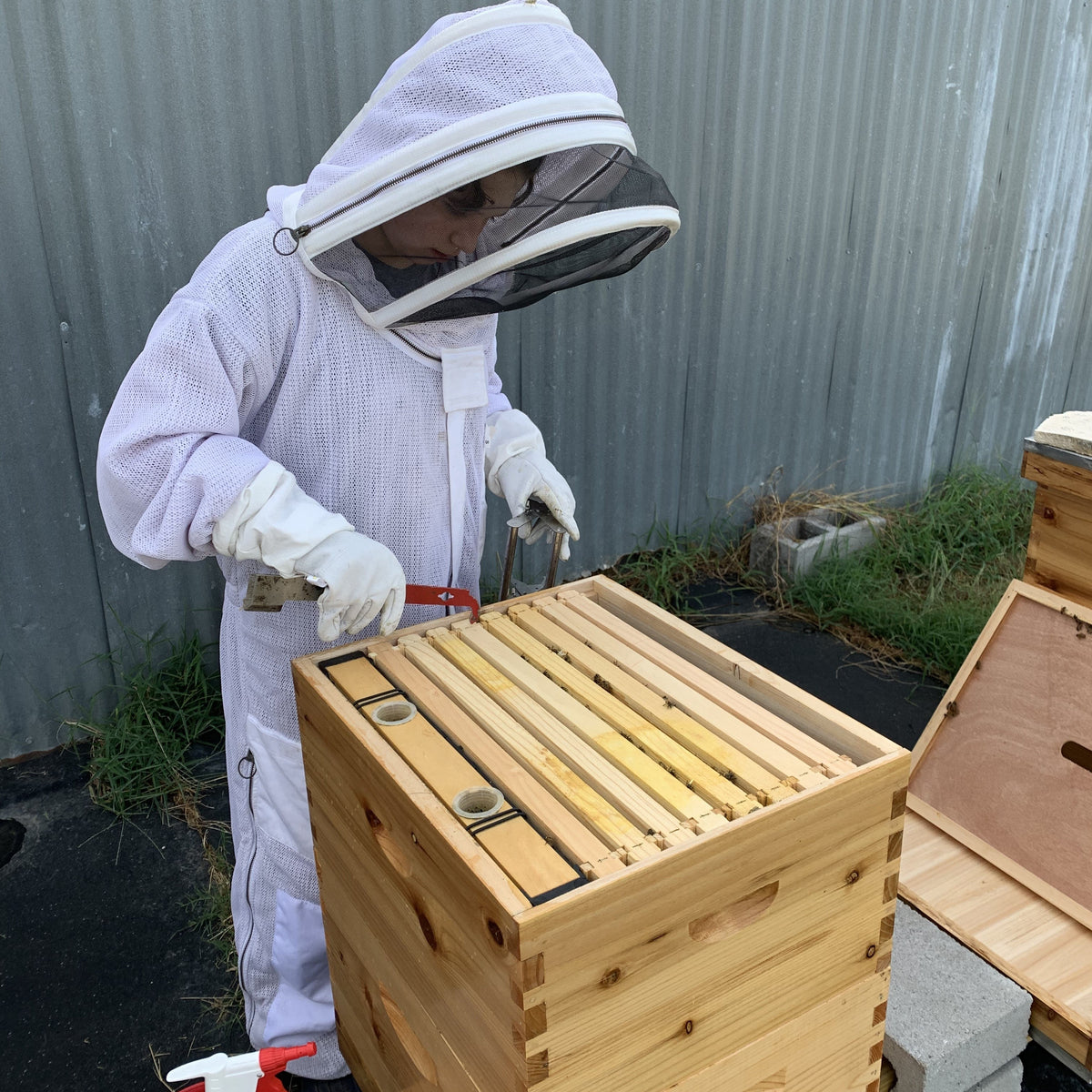 Pushing Frame Beekeeping Tools: Top Tools Every Beekeeper Should Have — The Bee Supply