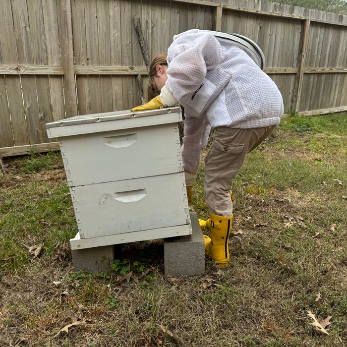 Beehive Maintenance - How To Keep Bees Alive During Winter