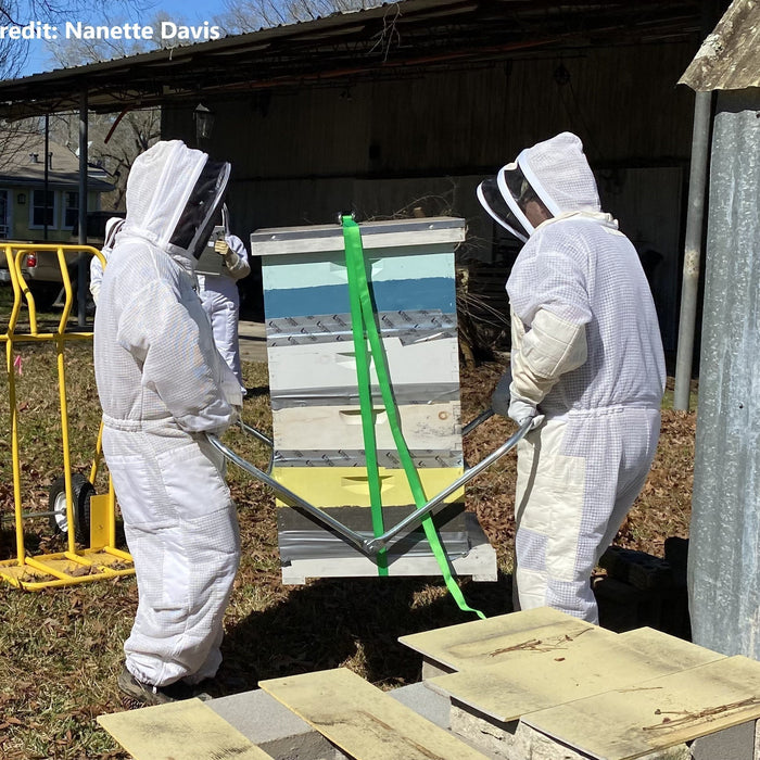 Moving bees
