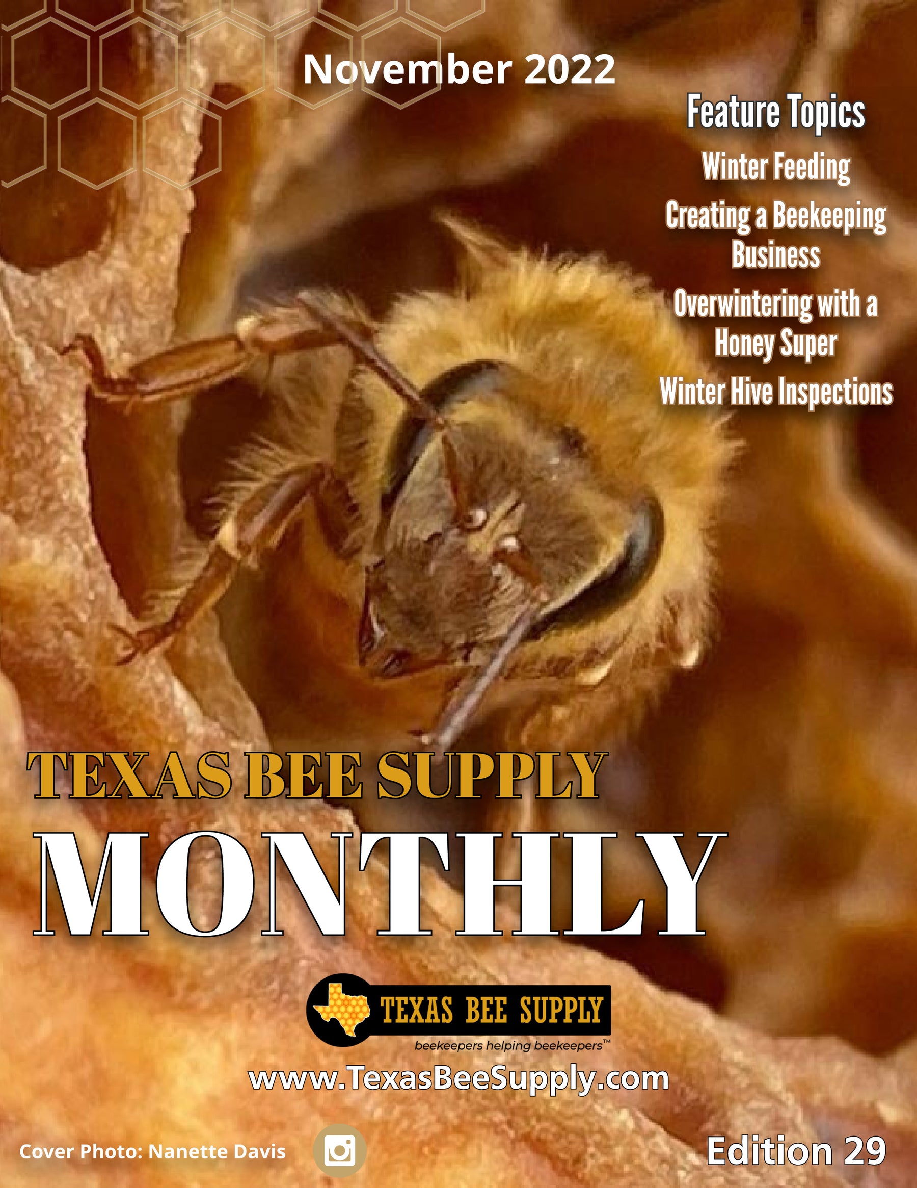 The Bee Supply Monthly - November 2022