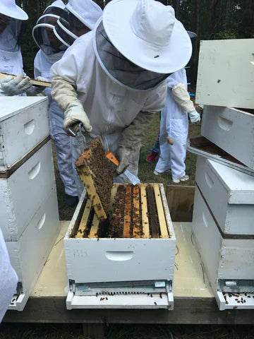 Proactively Managing Hive Expansion