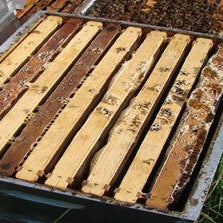 When to Give Up on a Hive