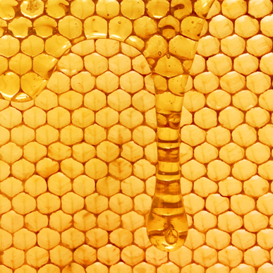 When and How Much Honey to Harvest