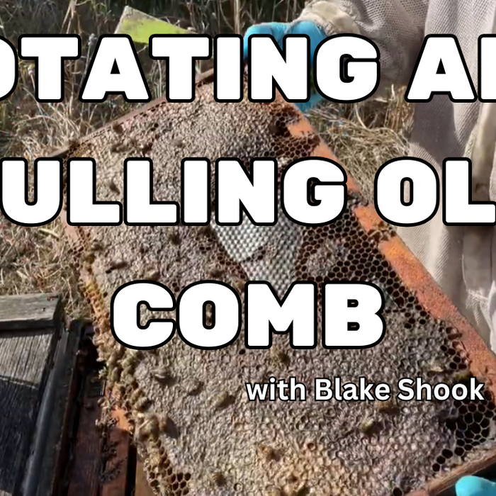 Rotating and Culling Old Frames Video with Blake Shook