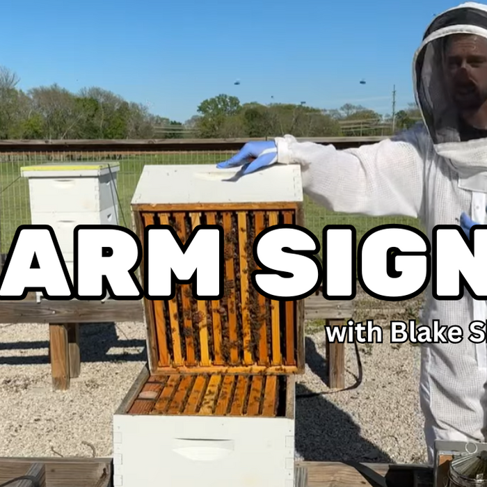 Swarm Signs in Your Hive Video