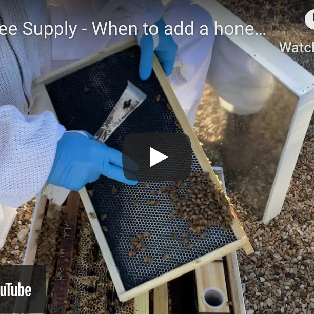 When to add a honey super- Video