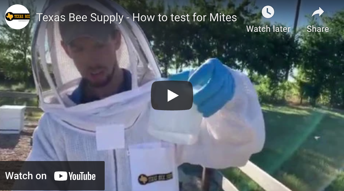 How to test for Mites