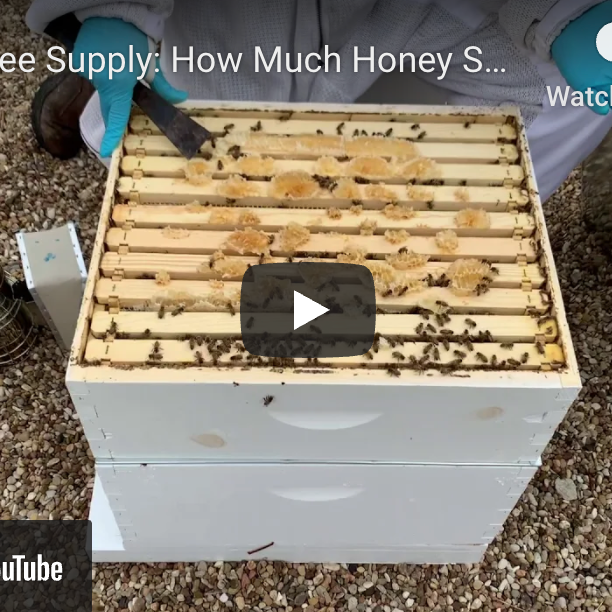How Much Honey Should I Take?-Video