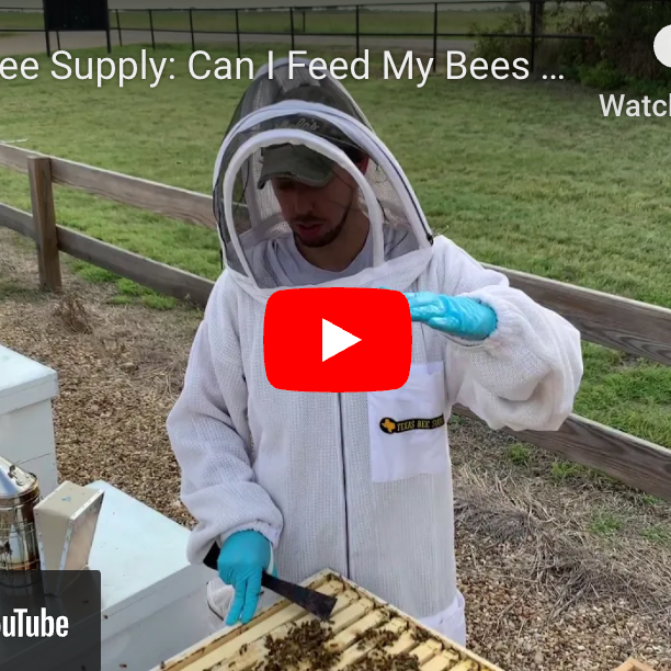 Can I Overfeed My Bees?-Video