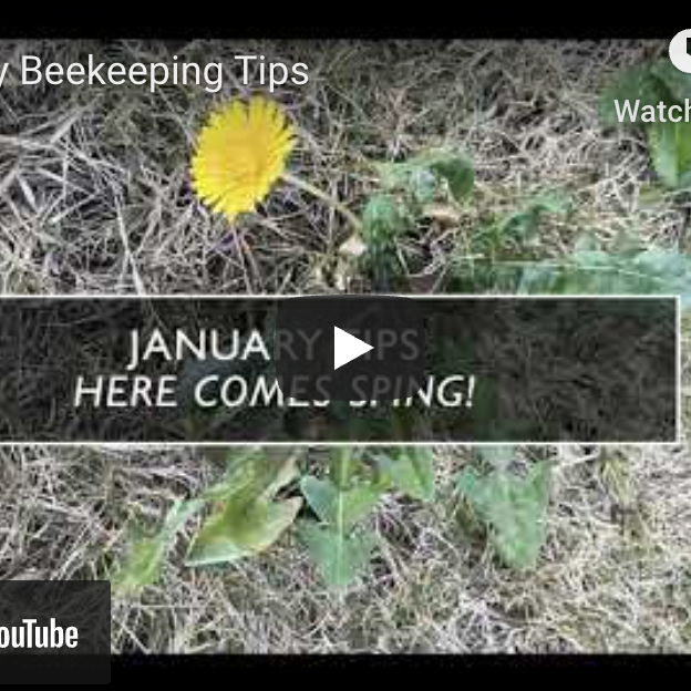 January Monthly Tips