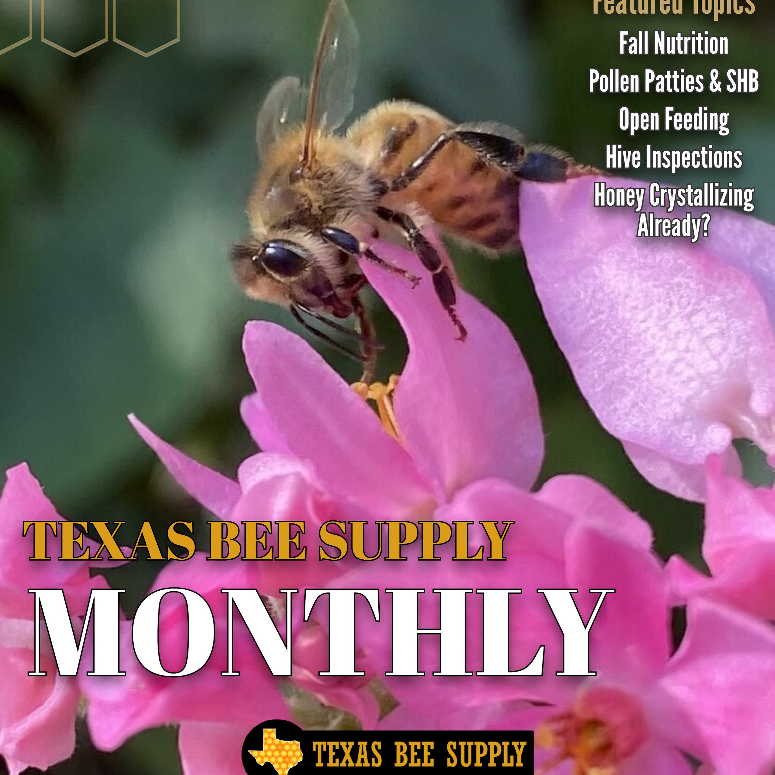 The Bee Supply Monthly Magazine — Texas Bee Supply