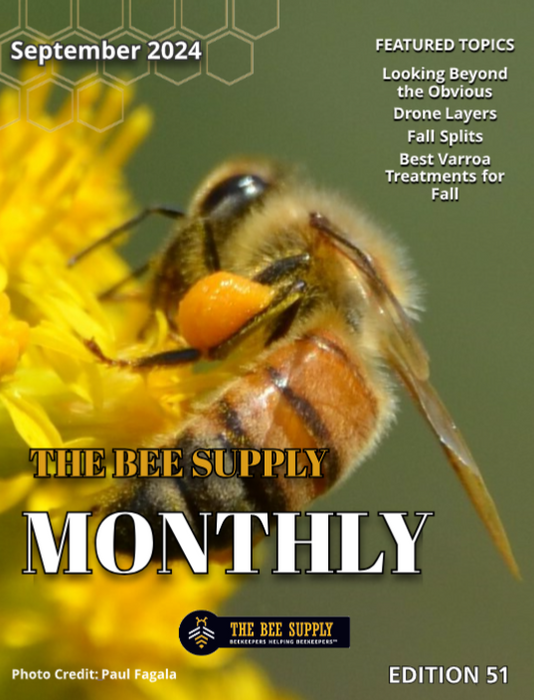 The Bee Supply Monthly -- September 2024