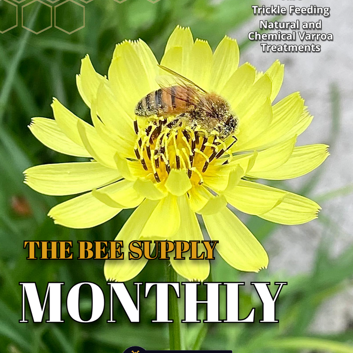 The Bee Supply Monthly - July 2024