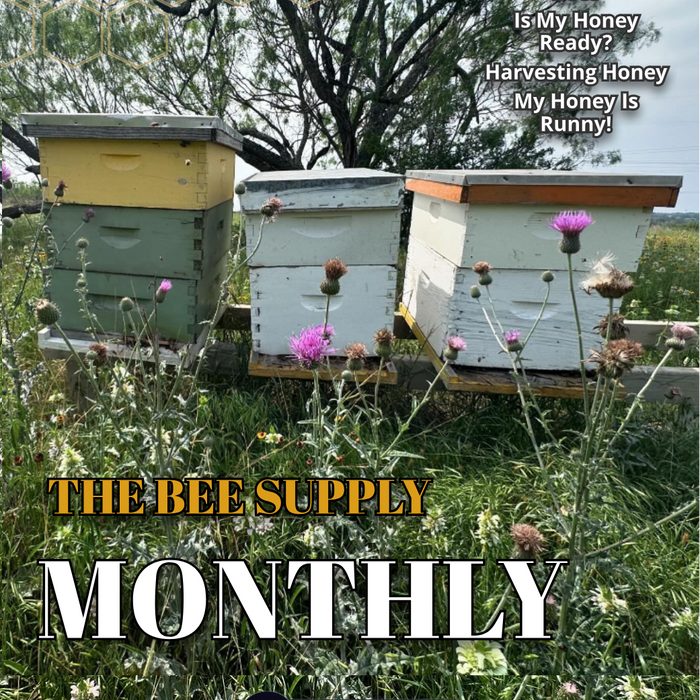 The Bee Supply Monthly - June 2024