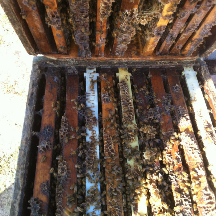 Monitoring Space and Honey Stores