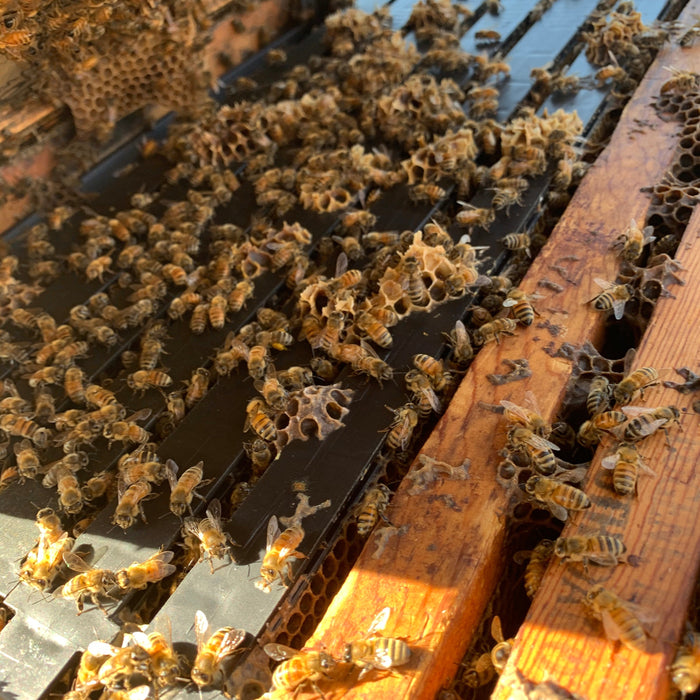 Reversing Brood Boxes