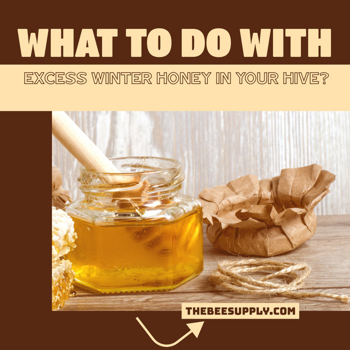 WHAT TO DO WITH EXCESS WINTER HONEY IN YOUR HIVE.
