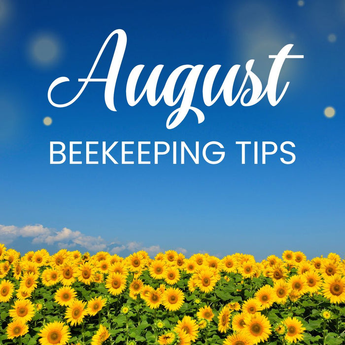 august tips 2024