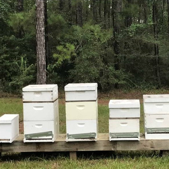 What Is A Resource Colony—And Why Do I Need One?