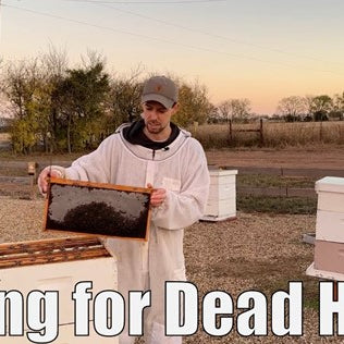 Caring for Dead Hives - Video