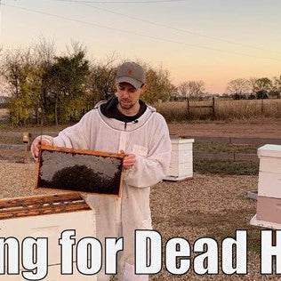Caring for Dead Hives - Video