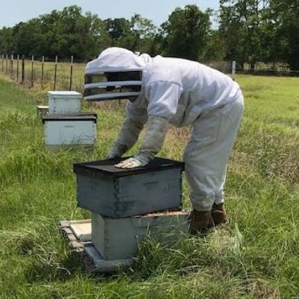 How to Combine Colonies for Better Winter Survival