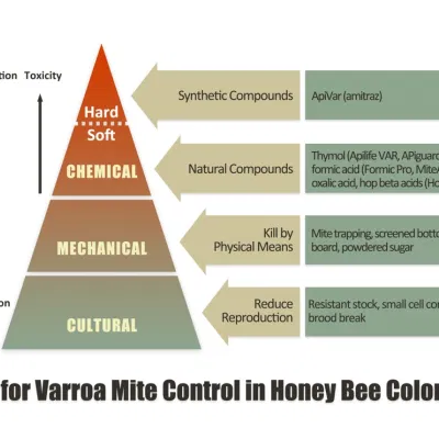 Natural & Chemical Varroa Treatments