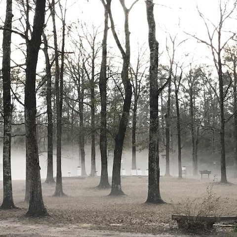 Things You Should Do While it's Cold Outside!