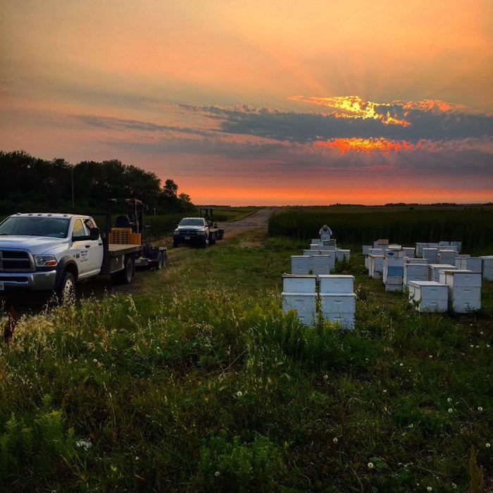 Making a Business Out of Beekeeping