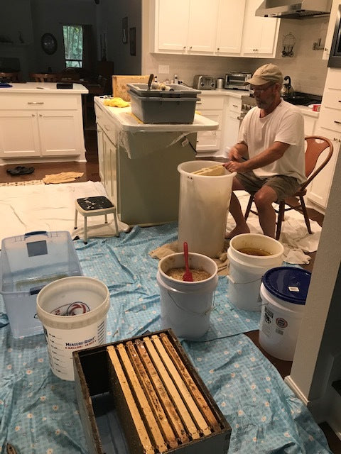 Preparing for Honey Harvest—Extracting Your Honey Crop