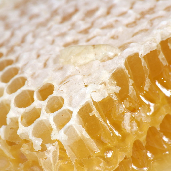 Options for Selling Honey in Texas