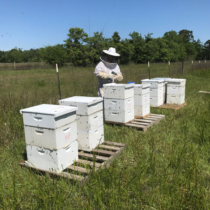 REVERSING HIVE BOXES