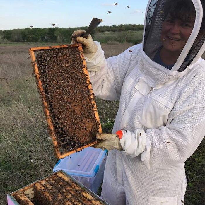 The Great Wax Moth Invasion!