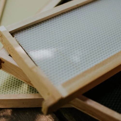 Plastic Frames vs Wood Frames w/ Plastic Foundation